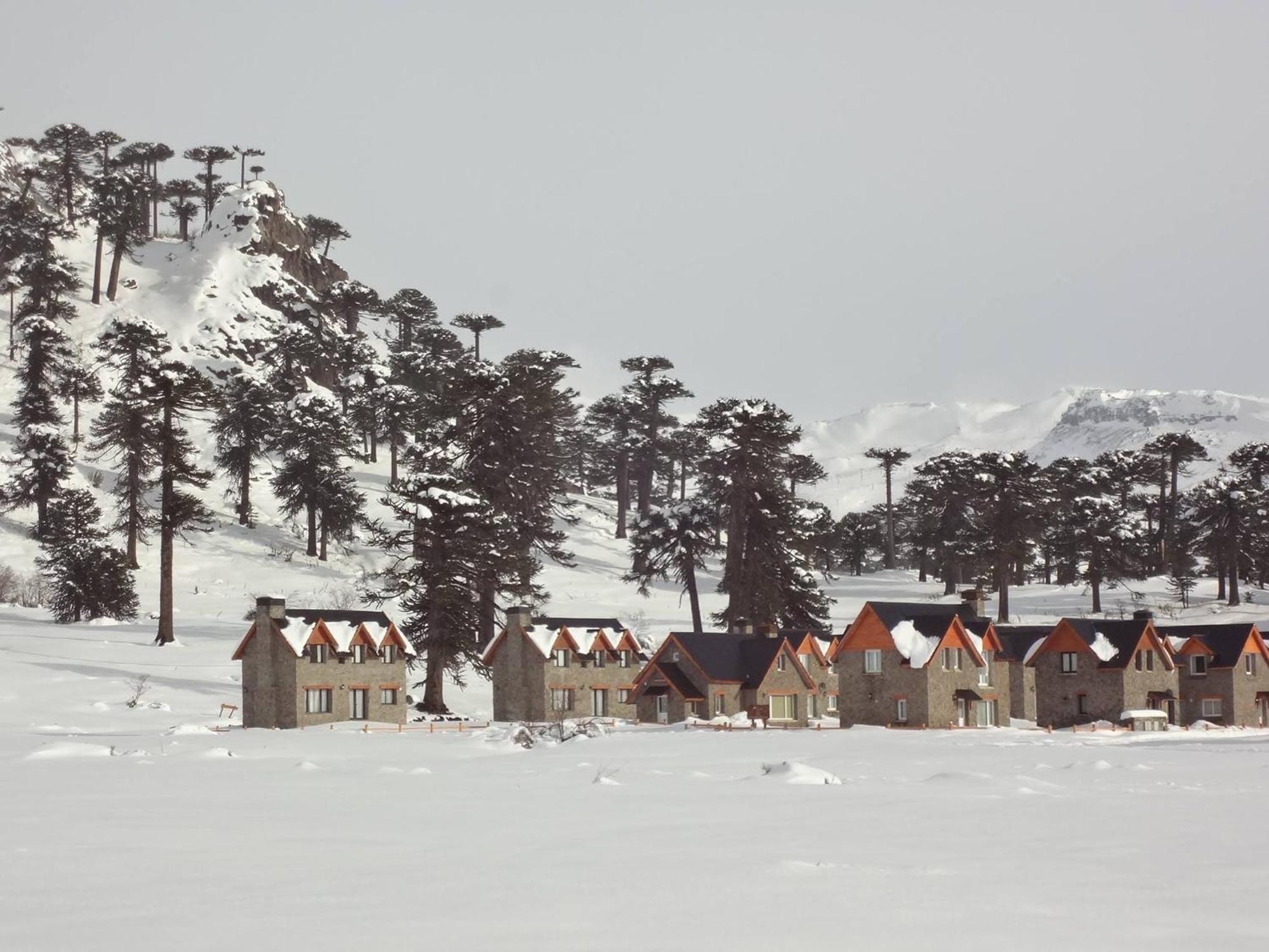 Cabanas Patagonia Village Caviahue Exterior photo