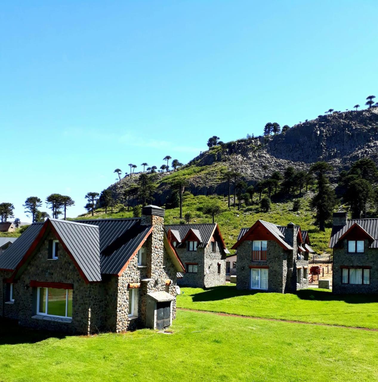 Cabanas Patagonia Village Caviahue Exterior photo